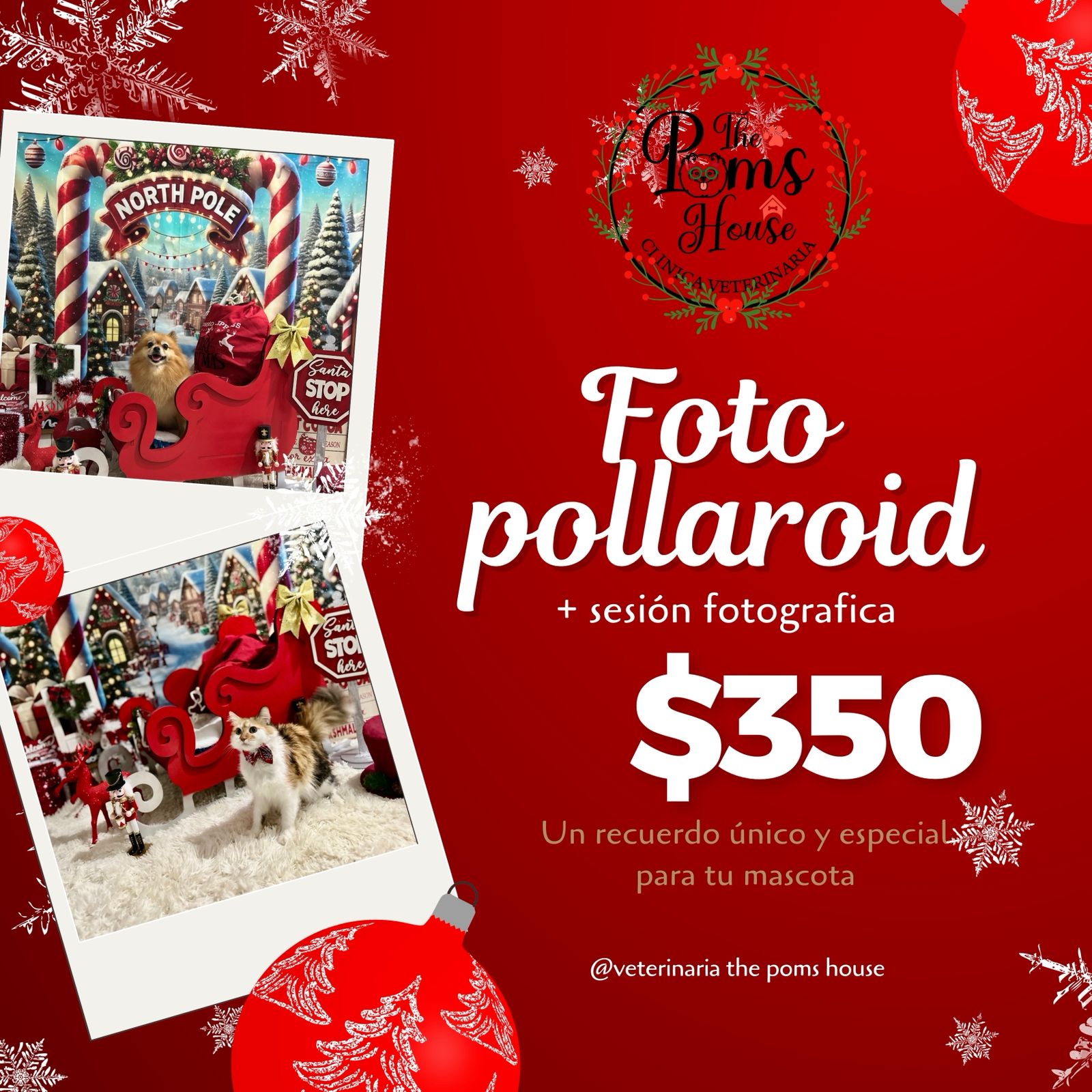 Foto Polaroid + Sesión Fotográfica