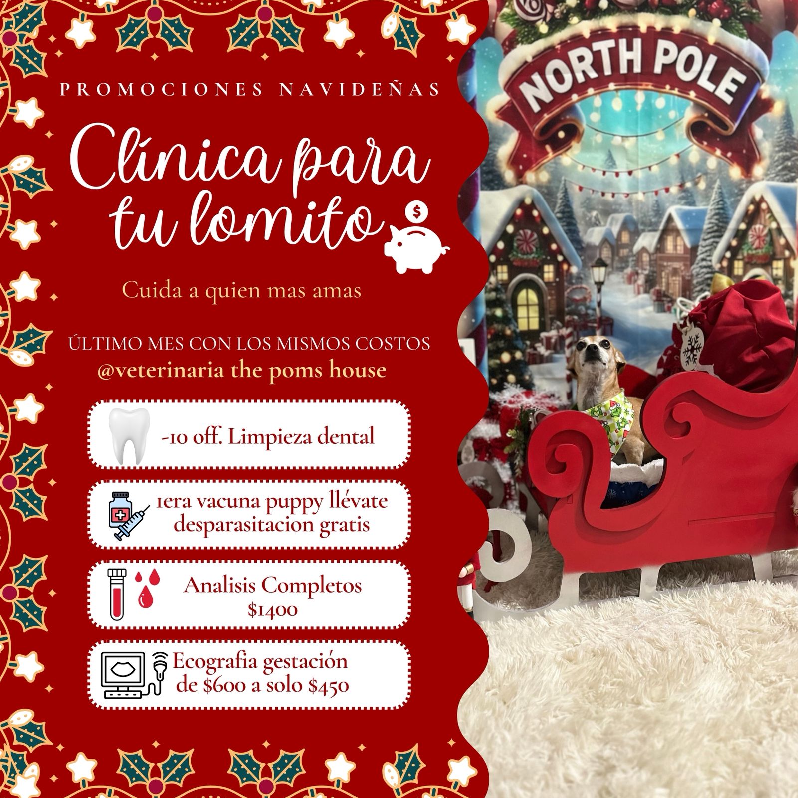 Promociones Navideñas - Clínica